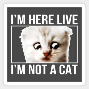 I'm here live, I'm not a cat Sticker